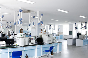 mg冰球突破(中国)官方网站